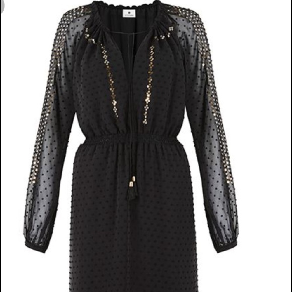 Black, gold and sheer dress